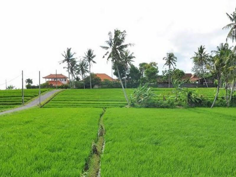 Villa Toraja チャングー エクステリア 写真